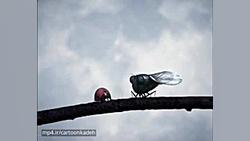 کارتون زندگی حشرات | قسمت 40