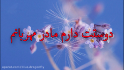 کلیپ مادر  دلتنگ مادر  قدردانی...