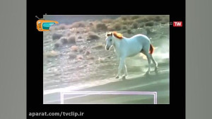تیتراژ ابتدایی سریال روزی روزگ...