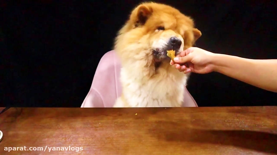 چالش اسمر  هاپو