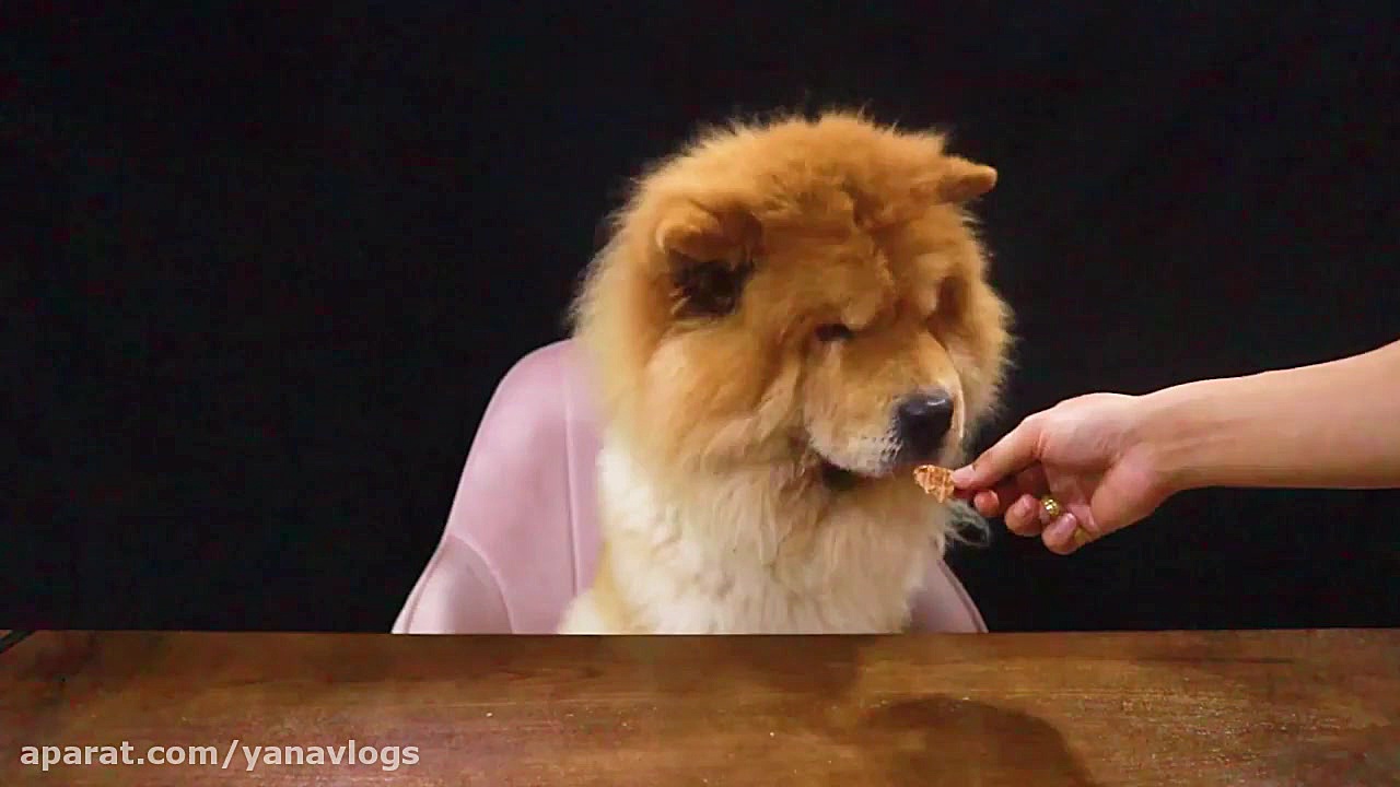 چالش اسمر  هاپو