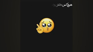 این کلیپ عالیه  هیچ کس دلش واس...
