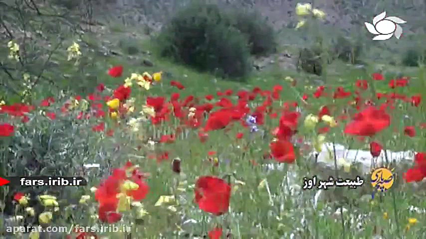 ترانه محلی &quot; هی گل &quot;...