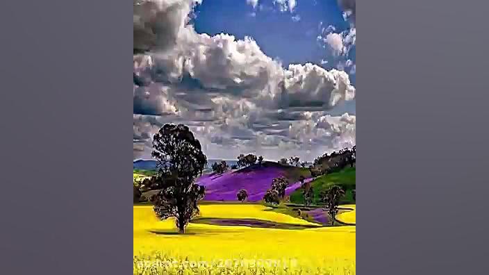 موسیقی اصیل  آهنگ دریای بی پای...