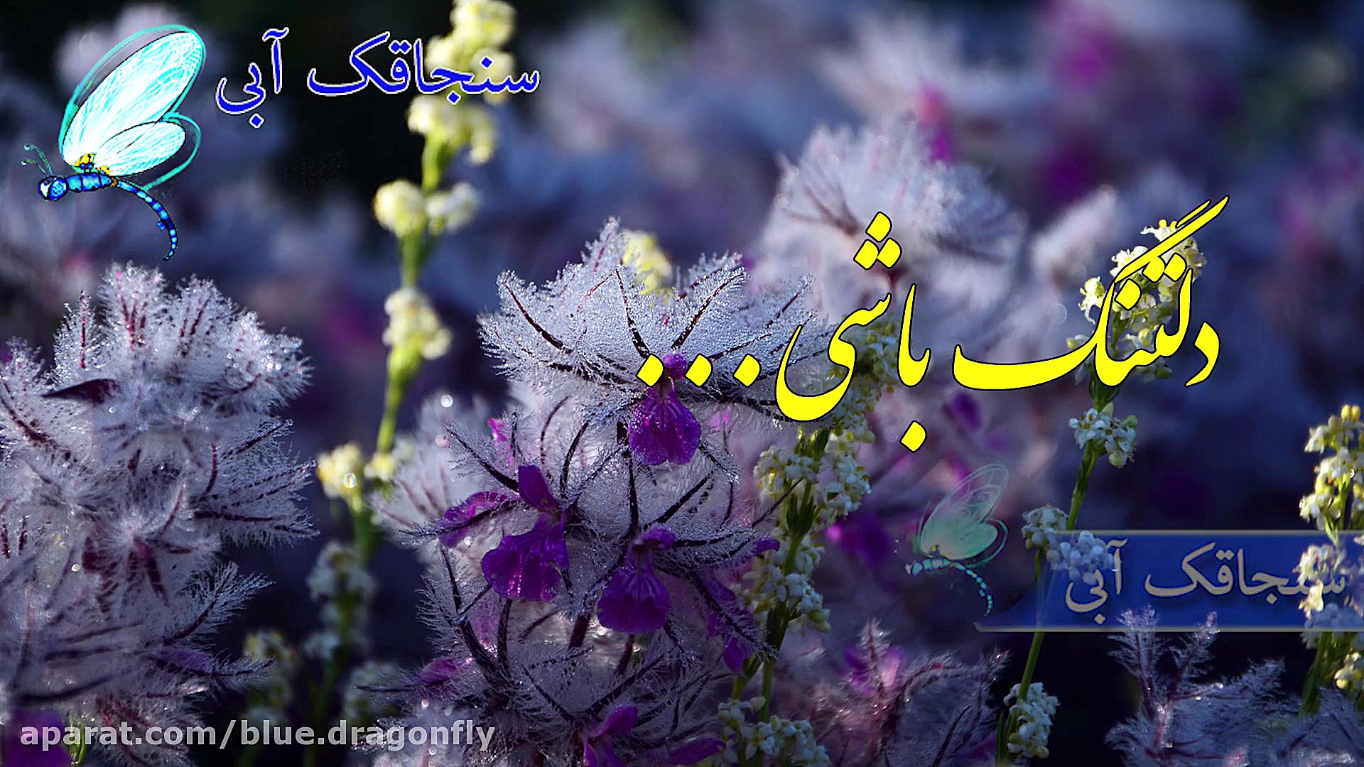 کلیپ تبریک تولد رفیق  کلیپ رفی...