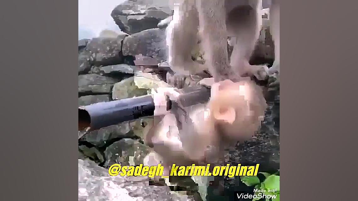 کلیپ طنز کلیپ مسخره کلیپ عالی...