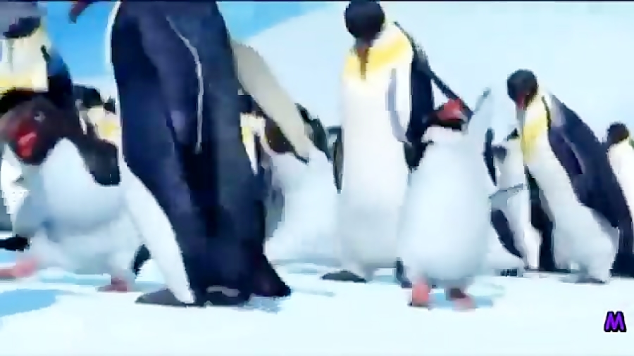 happy birthday to you