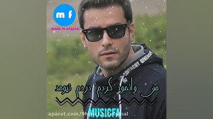 مهدی احمدوند : جنون