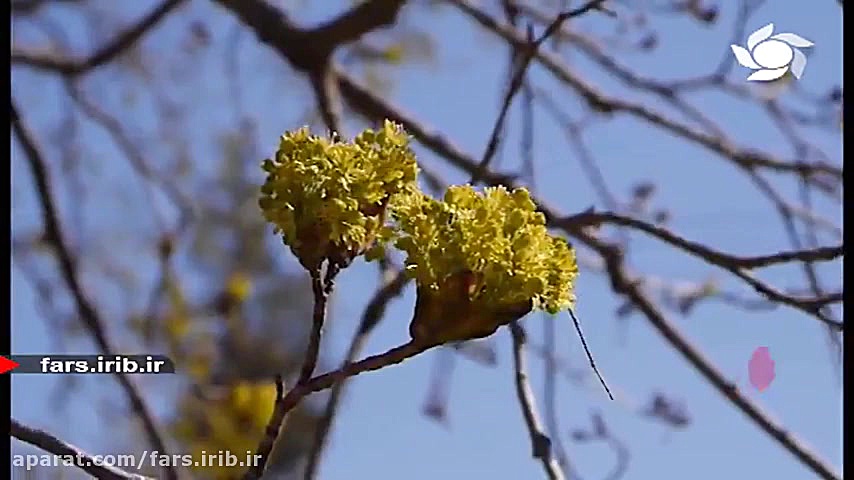ترانه &quot; حس تو &quot; با ص...