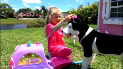 دیانا و روما   ماجراهای دیانا...