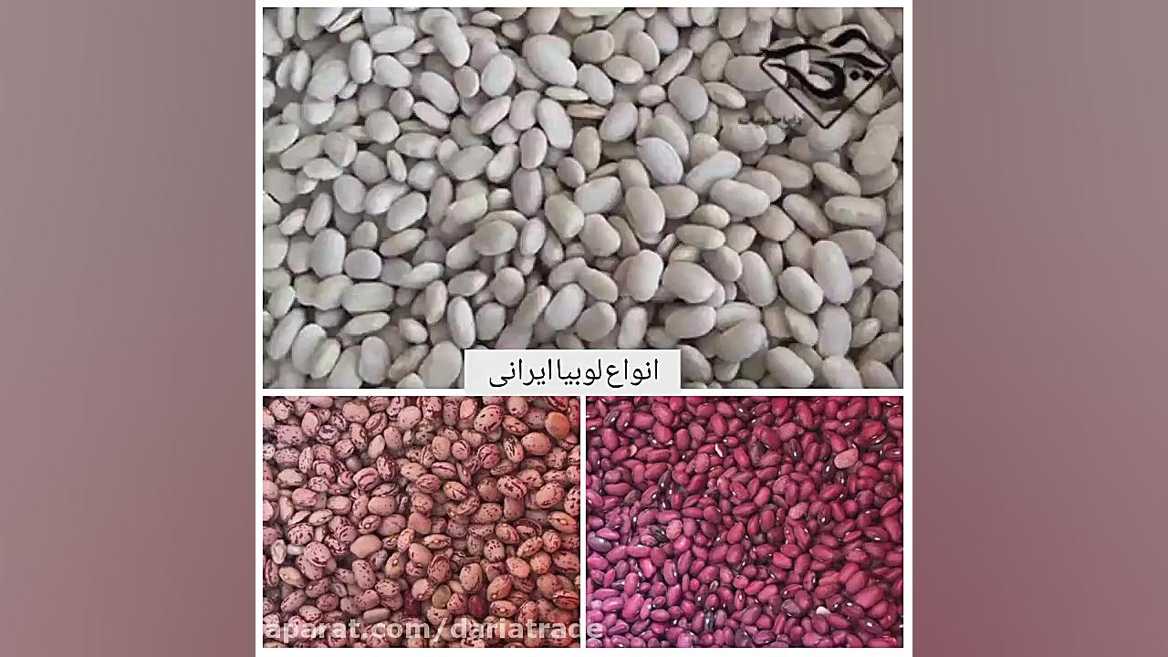 فروش انواع لوبیا