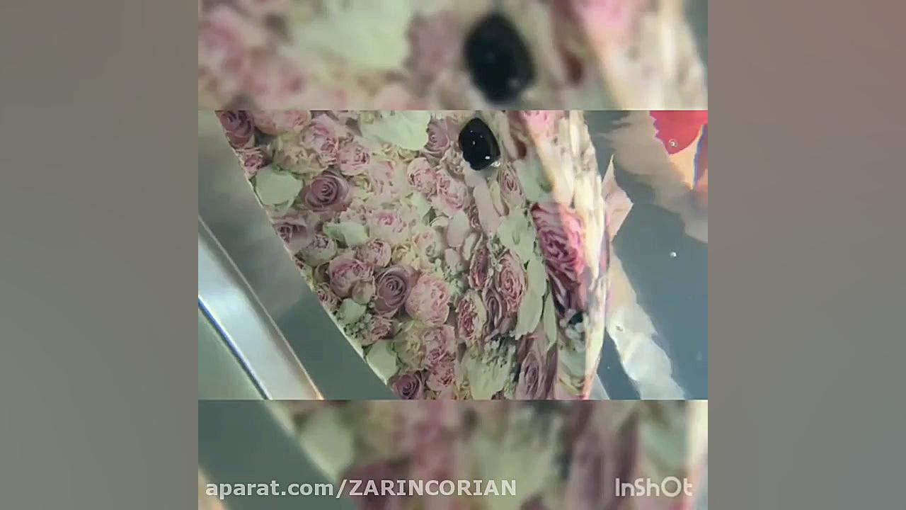 هیدروگرافی روشویی زرین کورین