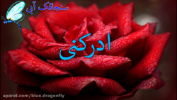 کلیپ تبریک ولادت امام هادی  تب...