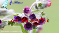 تبریک ولادت امام هادی کلیپ تبر...