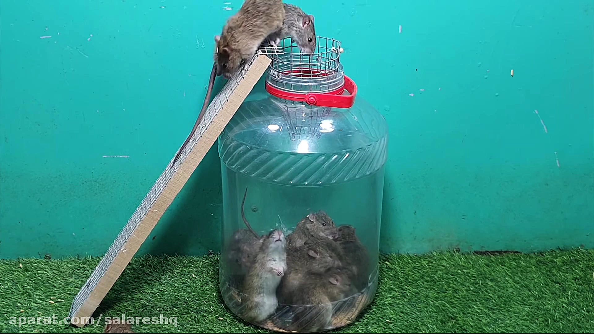 آموزش ساخت تله موش خارق العاده...