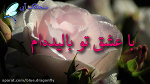کلیپ تبریک عید غدیر  تبریک عید...
