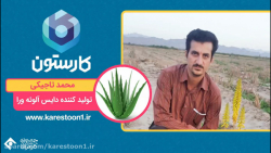 محمد تاجیکی تولیدکننده دایس آل...