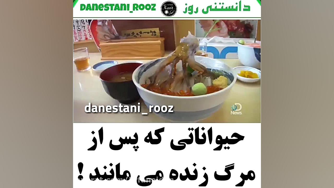 حیواناتی که پس از مرک زنده می...