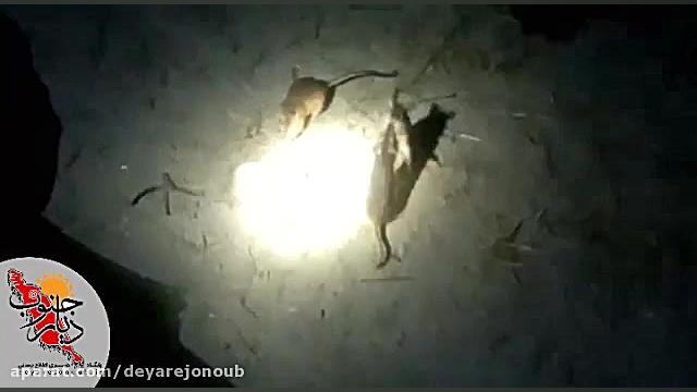 حمله موشها به انبارهای کره بند