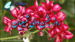 کلیپ تبریک عید غدیر  تبریک عید...