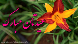 کلیپ تبریک عید غدیر  دف نوازی...