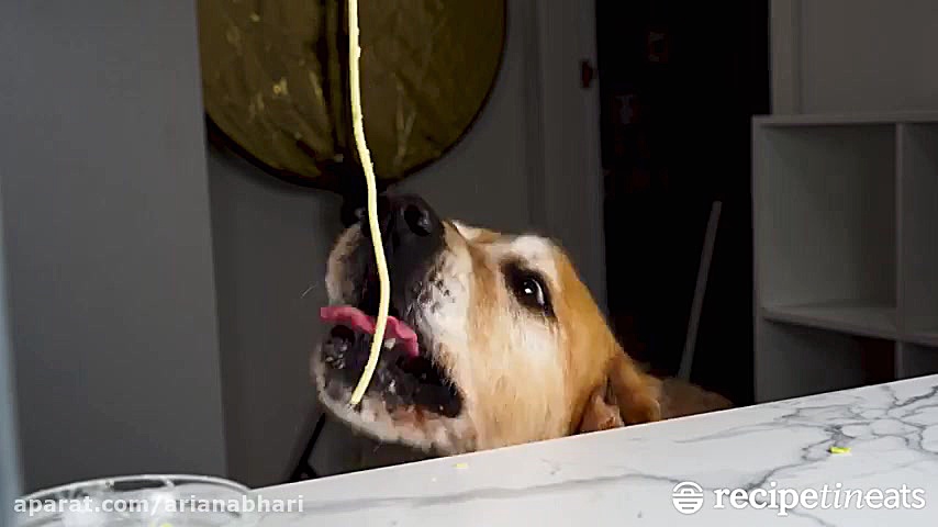 لذت آشپزی  طرز تهیه پاستا