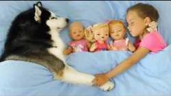 ماجراهای سوفیا :: بازی با عروس...