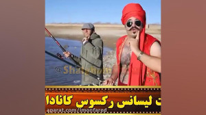 شلغم شو رقص زیبای بندری