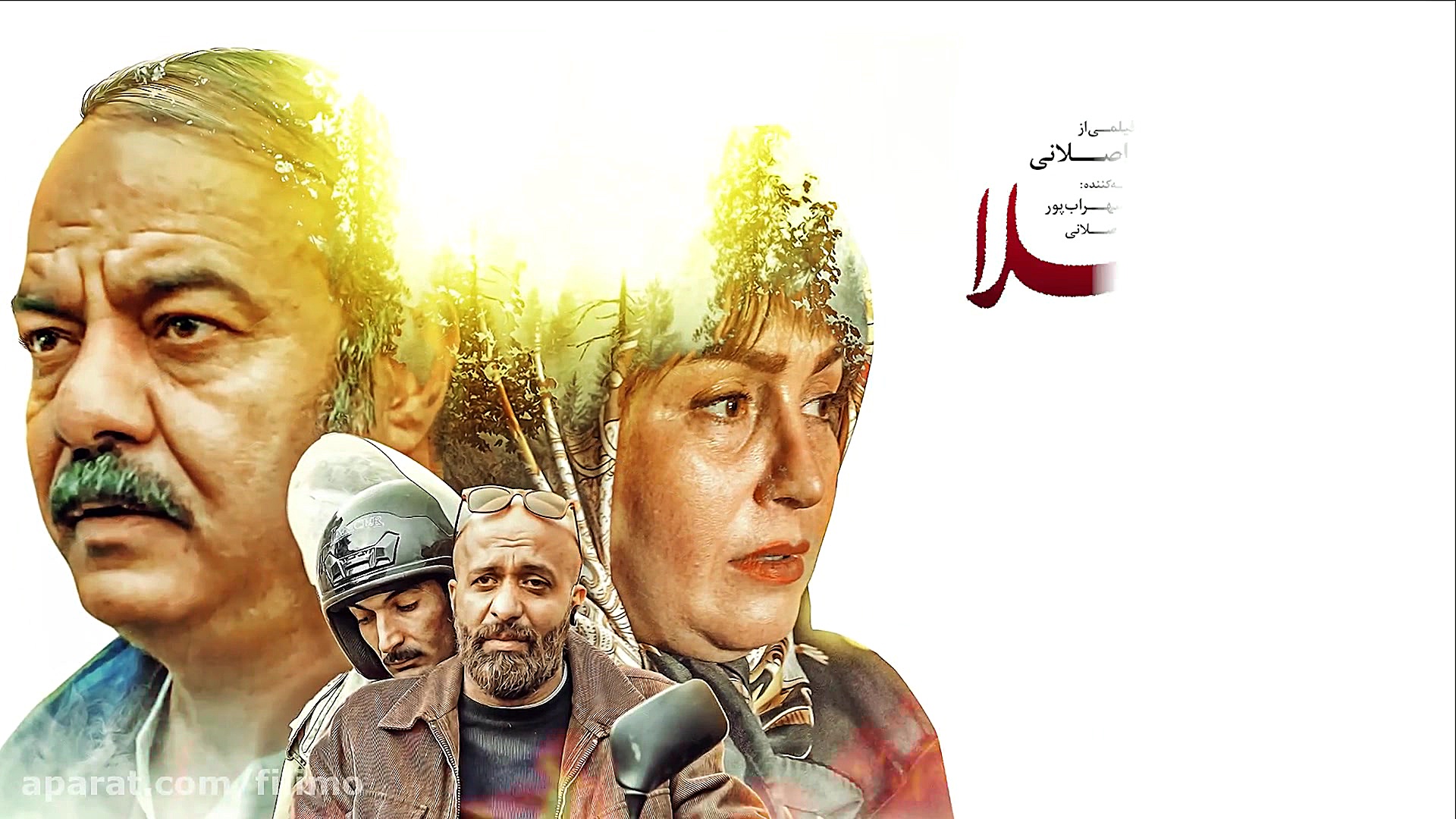 6ثانیه ای حمال طلا