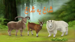 مستند صخره نوردی بزهای کوهی که...