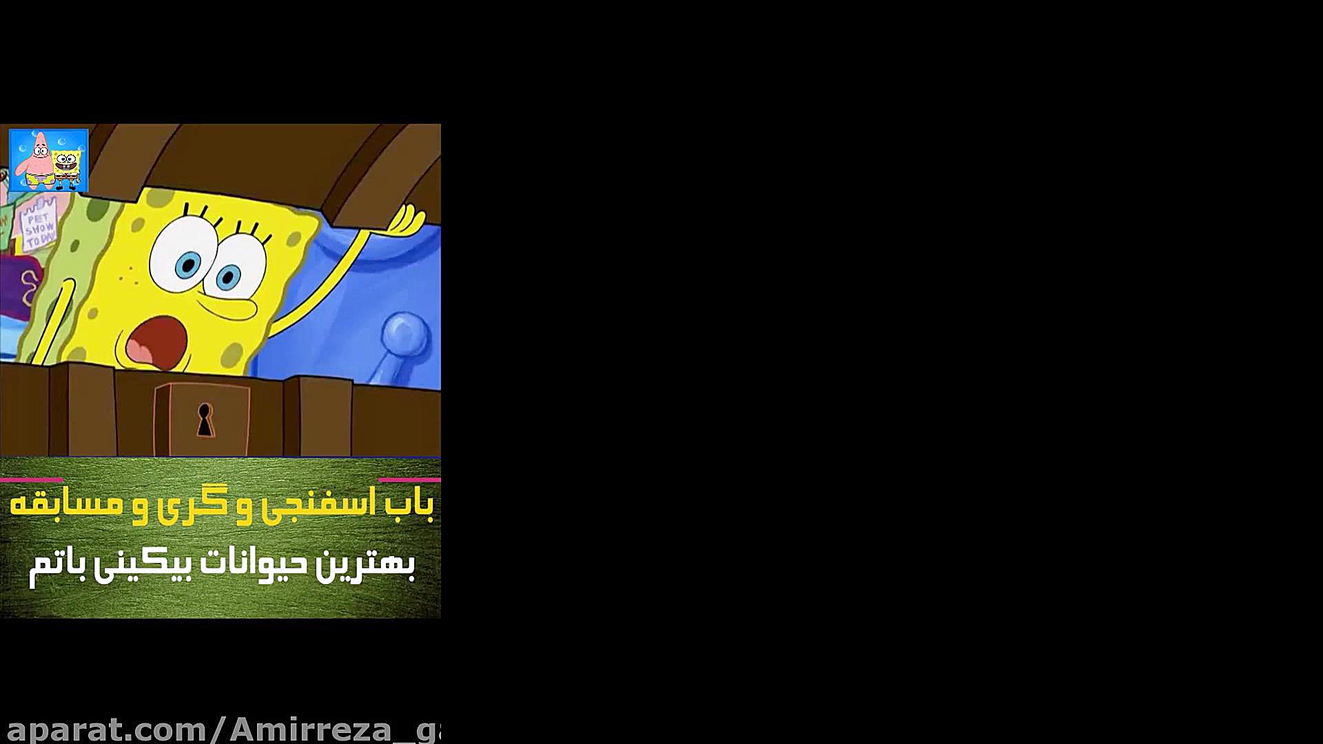 باب اسفنجی و گری و مسابقه بهتر...
