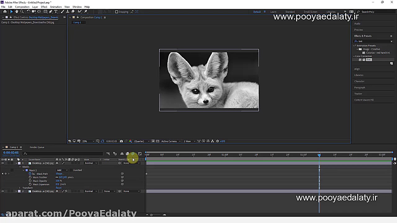 آموزش جلوه بصری زیبا روی عکس د...