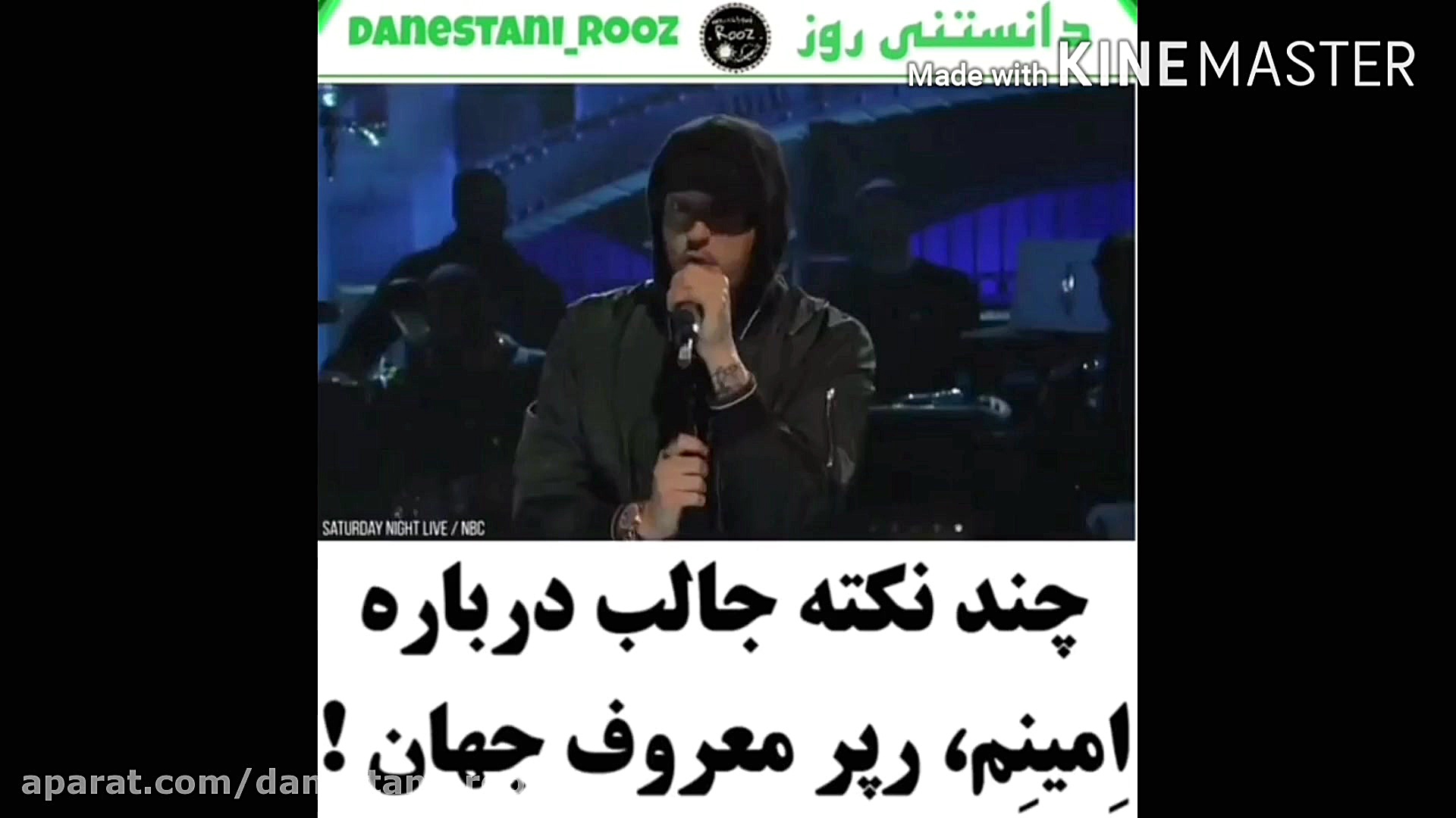 چند نکته جالب درباره امینم،معر...