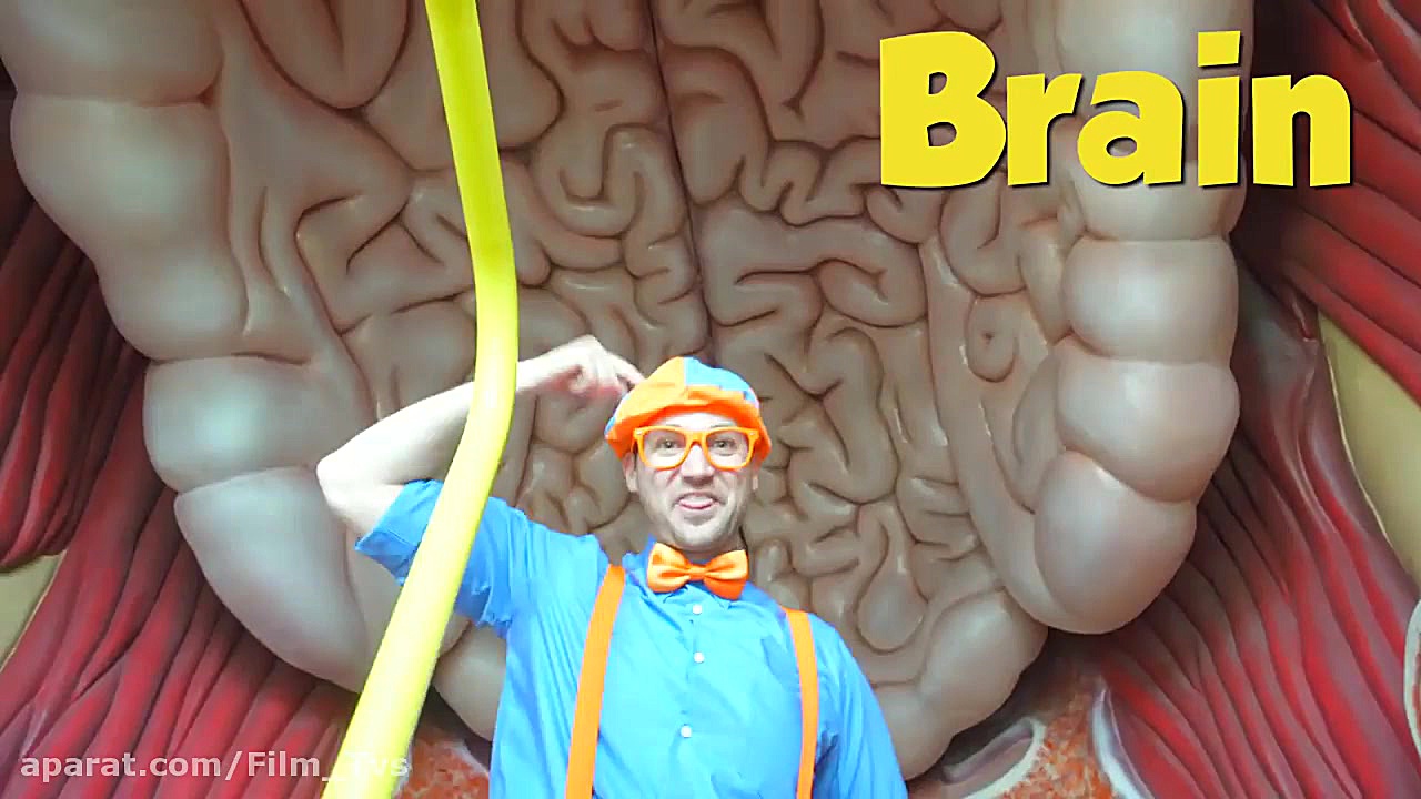 آموزش زبان انگلیسی با بلیپی  م...