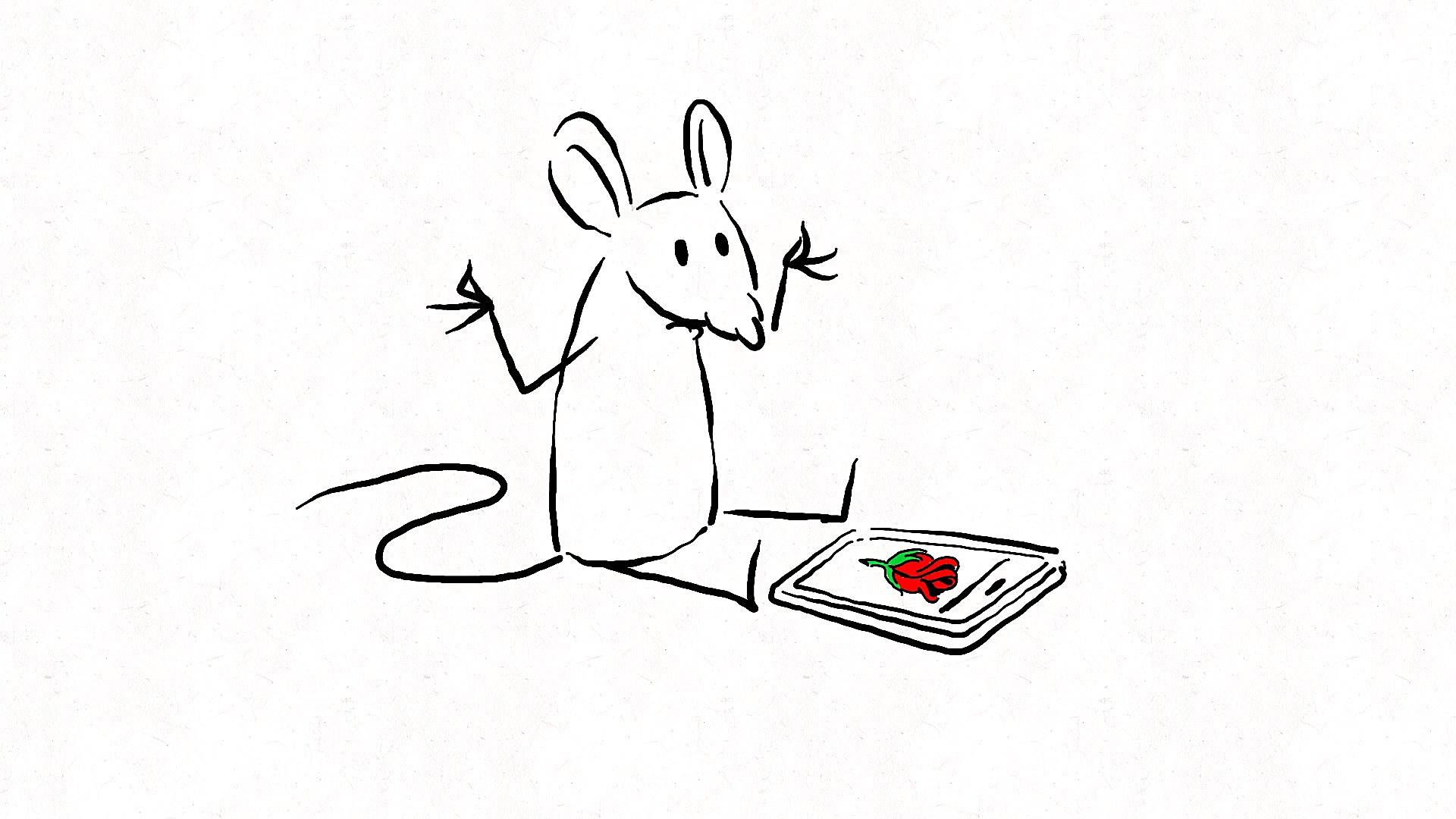 ببری نه! می گوید