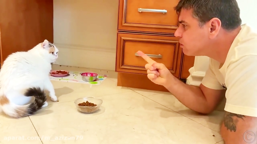 ناستیا :: فریب پدر :: ناستیا و...