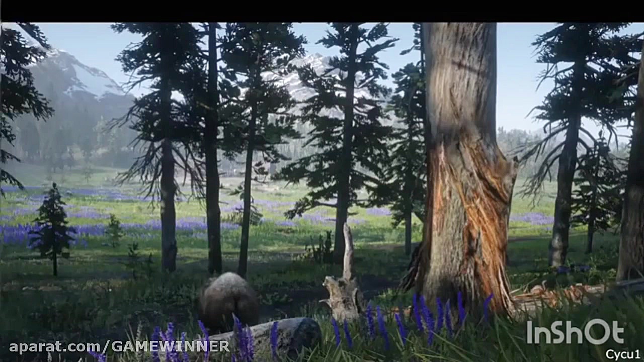 مقایسه گرافیکیred ded 2