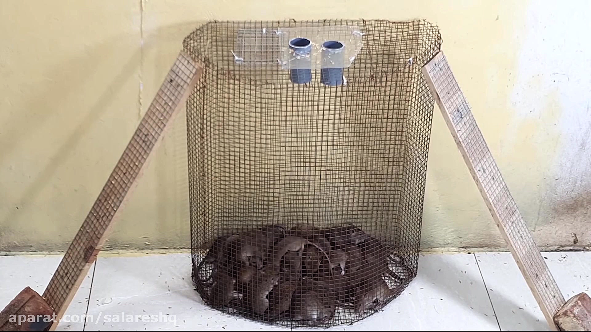 آموزش ساخت ترسناکترین تله موش...