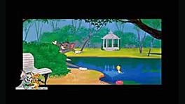 کارتون تام و جری | هدیه به تام...