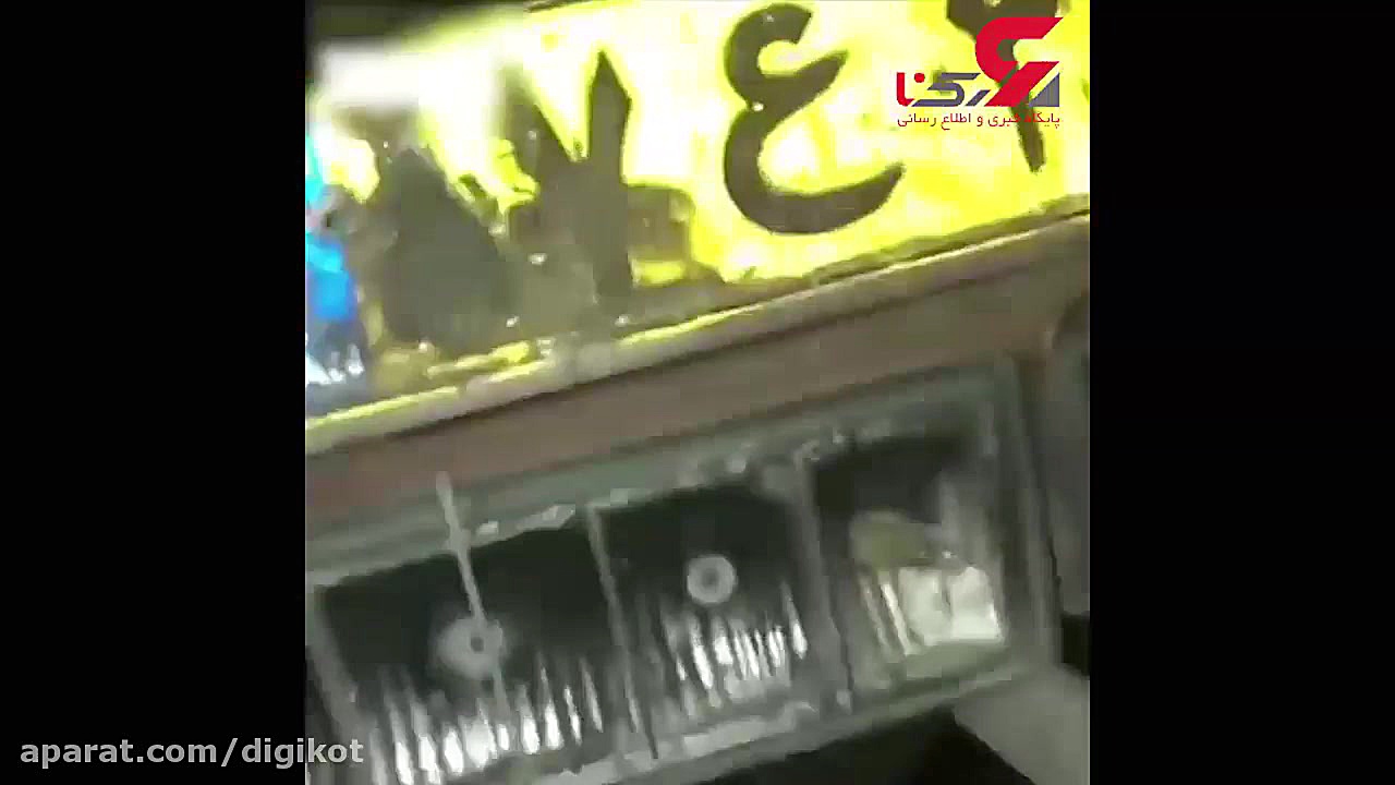 فیلم دردناک از سگ کشی با شلیک...