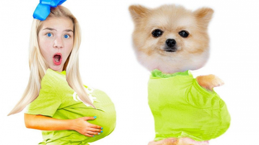 دوستان دیانا و استیسی   مگی