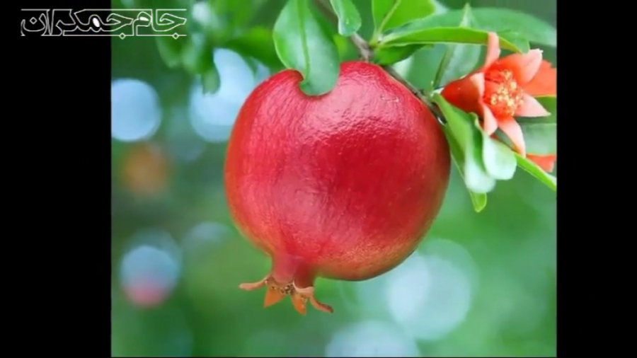 کلیپ کوتاه عاشقانه درباره خدا...