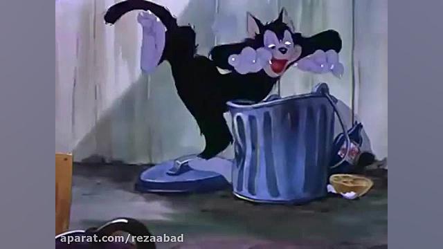 کارتون موش و گربه (تام و جری)...