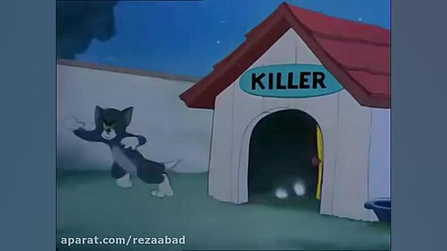 تام و جری...باز این گربه عاشق...