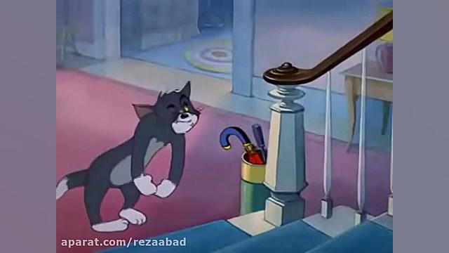 تام و جری جدید