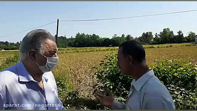 گفتگوی قائم مقام خانه کشاورز ب...