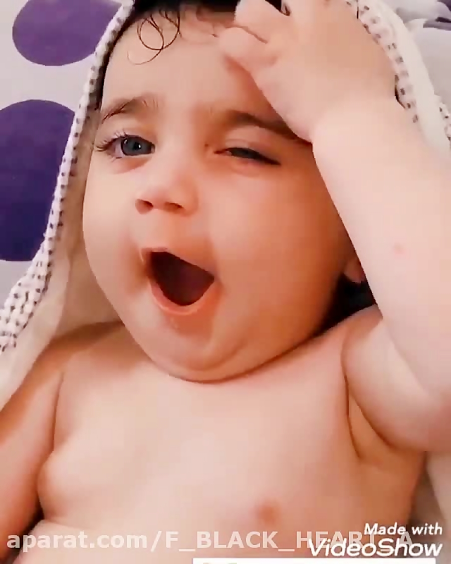 نی نی ヾ(&bull;&omega;&bull; )...