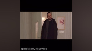 سریال همگناه