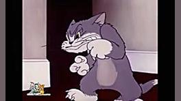 کارتون تام و جری تام و جری