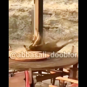 کلیپ صداگذاری خنده‌دار  ح...